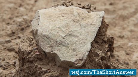 Stone-Tools Discovery: New Clues to Human Origins?