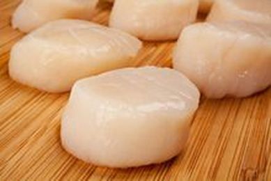 Atlantic Sea Scallops, starting with 2 lbs