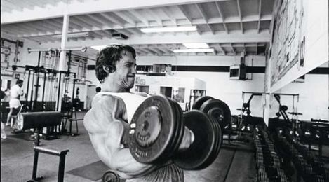 Build Arms Like Arnold Schwarzenegger