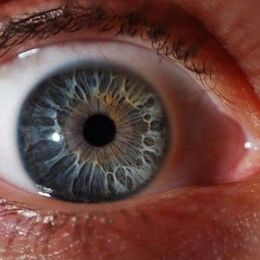 Optometrist vs. Ophthalmologist: What’s the difference?