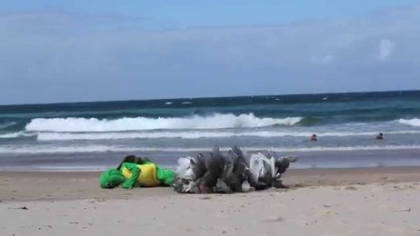 The Life of a Plastic Bag