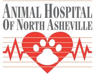 How to Create Low-Stress Veterinary Visits for Cats