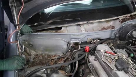 One of the Most Neglected Maintenance Items on Older Cars