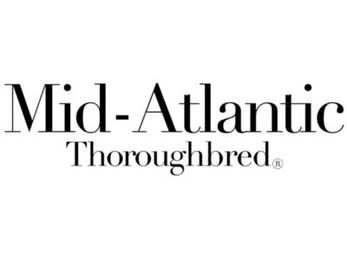 Learning to Love Racehorses