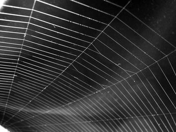 Spider silk made without the spiders