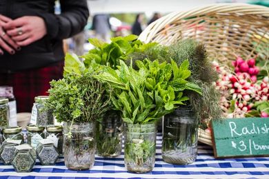 10 Farmers' Market Tips