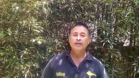 Avoid this Costly landscape mistake