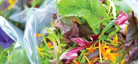 Lot Acceptance Testing for Ready-to-Eat Salads