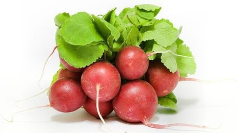 No Matter What You Think, Radishes Aren't Actually Spicy