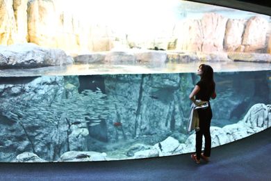 10 Ways to Live Like a Tourist at Home