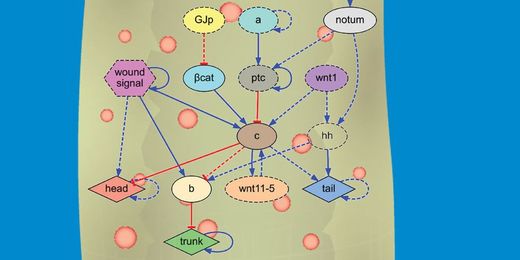 A Computer Just Came Up With a Scientific Theory