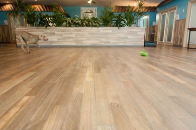 Can Your Home be Beautiful and Dog-Friendly?