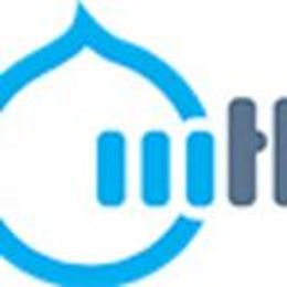 More than (just) Themes