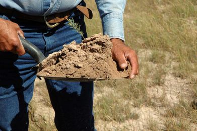 Creating Healthy Soils with Holistic Management