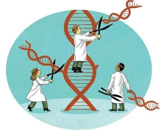 Precision medicine gaining traction in medical practice, diagnosis, and drug discovery