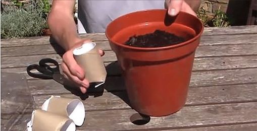 He Puts A Toilet Paper Roll In A Flower Pot. The Results? Brilliant!