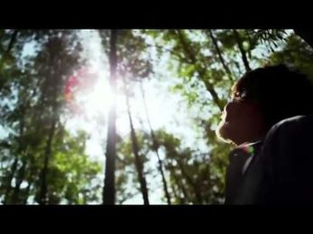 Volunteers of America: The Water Lily Analogy