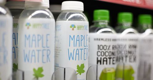 Maple Water: The New Kind of Water You Need to Start Drinking