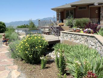 Water Wise: Using smart landscaping to conserve water