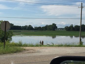 My Farmer’s Planting Notes
