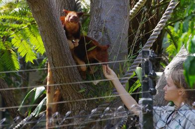 Zoos talk, but do people listen?