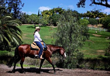 Rich Californians balk at limits: 'We're not all equal when it comes to water'