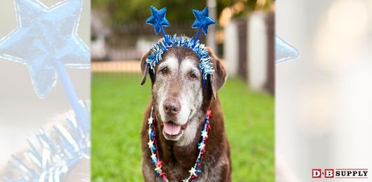 How To Keep Your Pets Calm