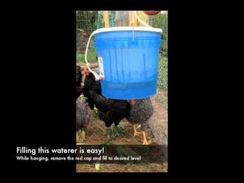 Little Giant® Hen Hydrator