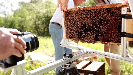 Linking Food Security and the Environment