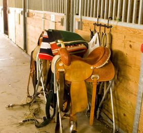 Western Saddles: A Guide for Beginners