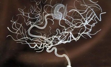 Which two things cause a quarter of all deaths in the world?