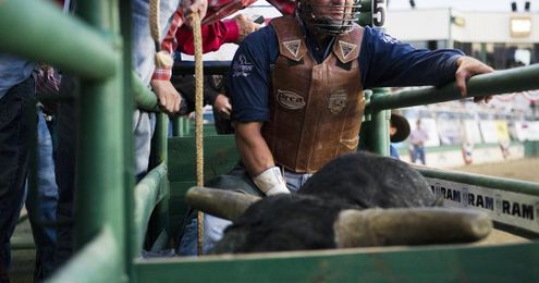 No hooey: Here’s how to speak rodeo