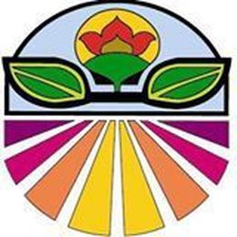 Your Cancer Answers: Acupuncture as cancer treatment