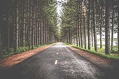 Non-Profits: Same But Different