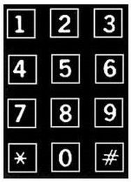 Using the Telephone