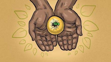 When to Consider Annuities If You Want to Safeguard Your Retirement