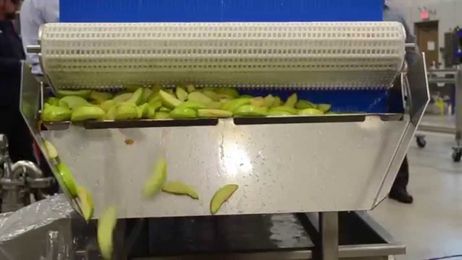 Ever-Kleen® Apple Slice Wash/Transfer System