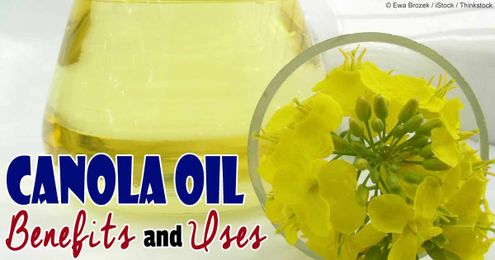 Herbal Oil: Canola Oil Benefits and Uses