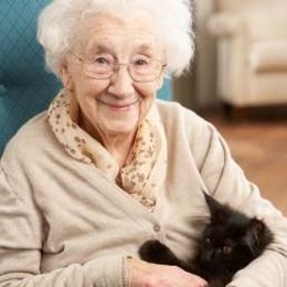 Older adults who might benefit from pet ownership often face barriers
