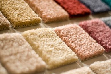 How to Choose the Best Carpet for Your Units