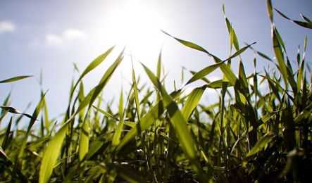 Keep Mom Safe This Summer: Recognize the Signs of Heatstroke