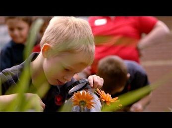 What Is Balanced Learning?