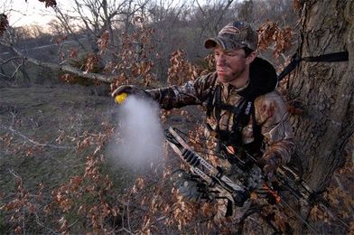 How to Play the Wind