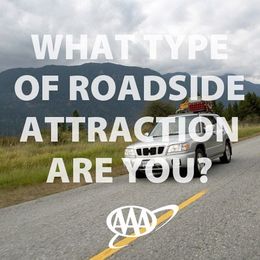 What type of Roadside Attraction are you?