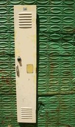 A Rustic Garden: Decorate in Style With this Retro School Locker Accent Piece