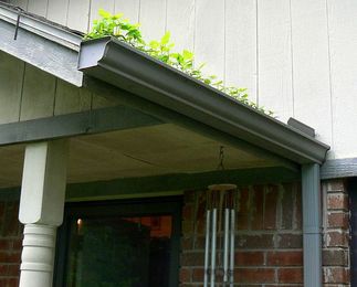 Gutters: When to Choose Them, When to Forego Them