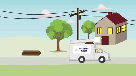 We Care About Trees and Your Electric Service