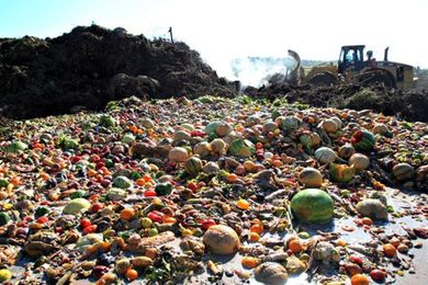 Food Waste Bans Can Be Problematic for Landfills