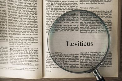 What Does the Bible Say About Same-Sex Relations?
