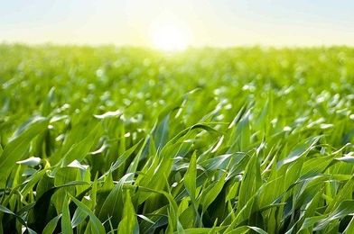 10 Things Farmers Are Tired Of Hearing